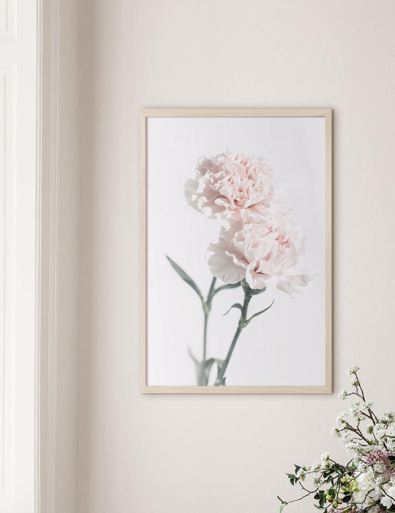 Pink Carnations #3 - Doenvang